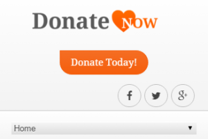 Donate Now Call to Action on Chairty Theme